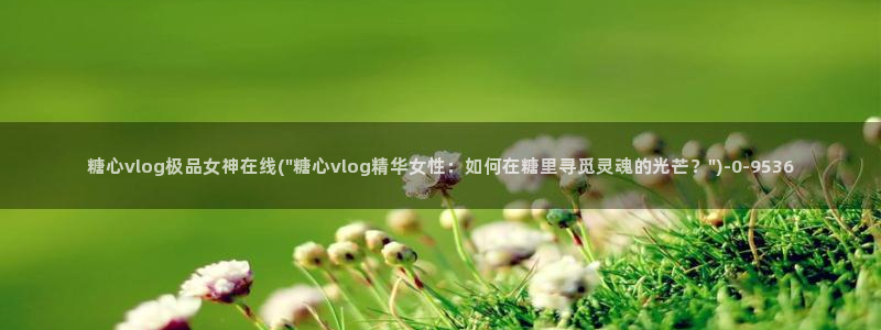 糖心vlog该看糖心了